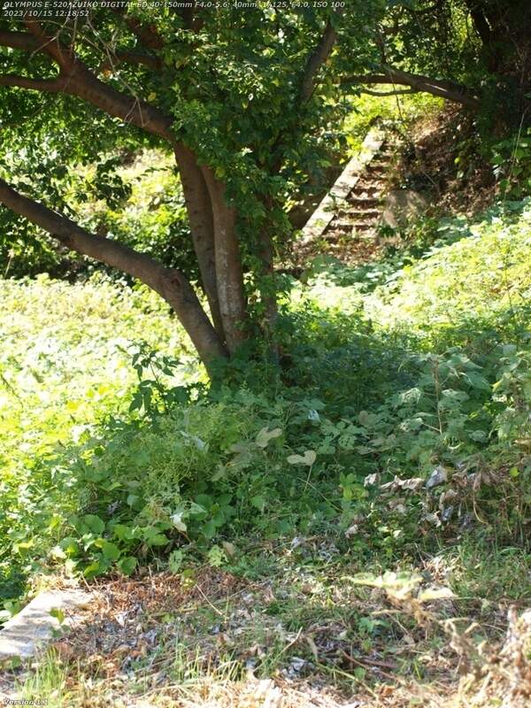 扇山町(別府市) 土手の傾斜部分を上流へ進むと草ボーボーで進めなくなるが階段が見える