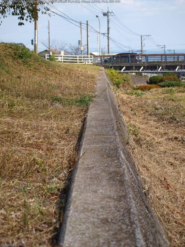 扇山町(別府市) 土手の傾斜部分を下流へ戻る