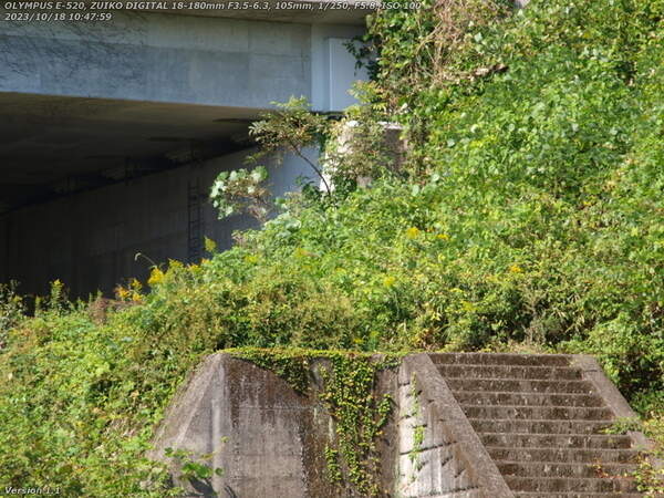 境川(別府市) 河川敷広場の上流側の終端(高速道路の下)の手前は草ボーボー