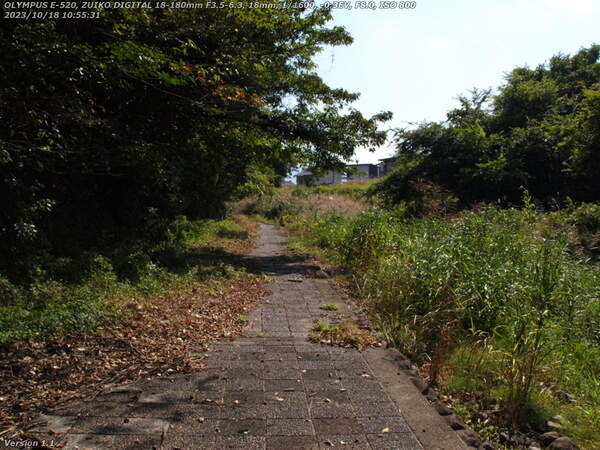 境川(別府市) 普段は通れない歩道