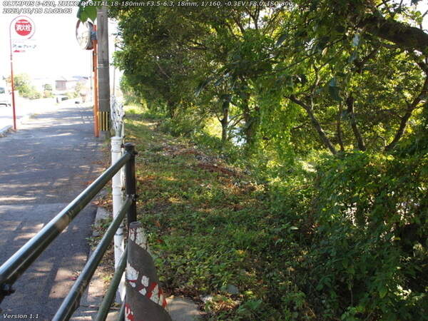 扇山町(別府市) 道路への階段を上ると土手上の草地を進める