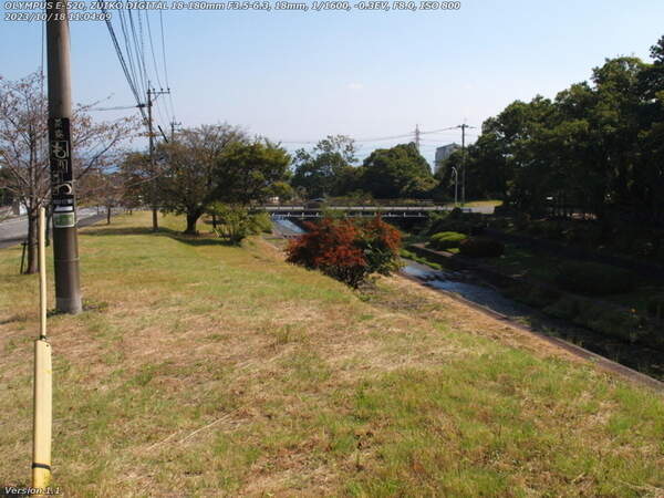 扇山町(別府市) 土手上を進む