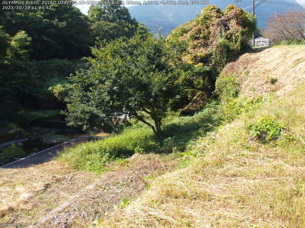 扇山町(別府市) 上流を見ると階段が見える