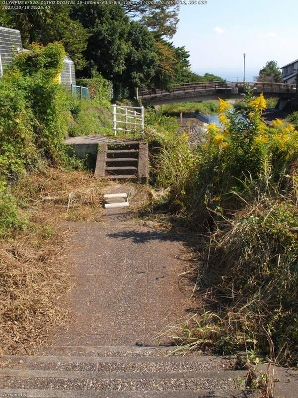 境川(別府市) であい橋の1つ上流の砂防ダムの草ボーボー地帯も除草されている