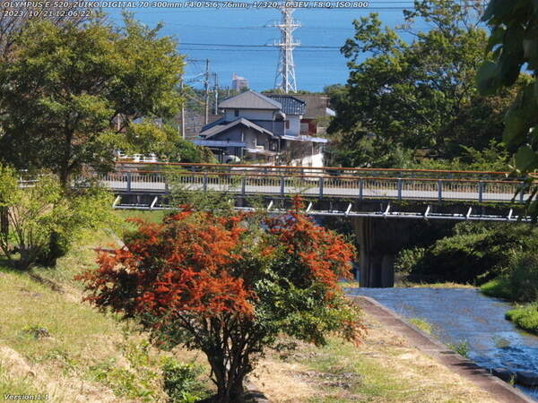扇山町(別府市) 西別府橋が見えてきた