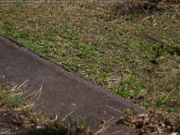 荘園(別府市) イナコスの橋のすぐ下流の階段で河川敷広場へ下る