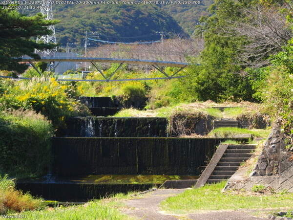 境川(別府市) 除草のおかげでイナコスの橋の上流の砂防ダムまでは行きやすくなった