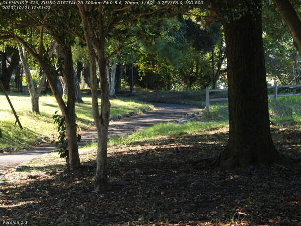 南立石公園(別府市) 南立石公園を進む