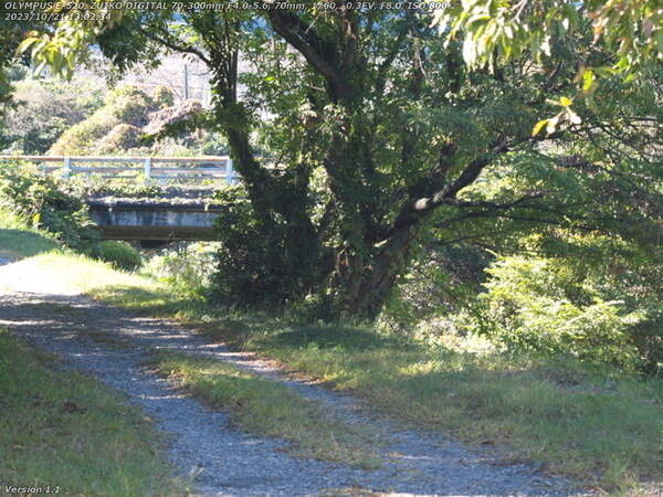 南立石二区(別府市) 西別府橋が見えてきた