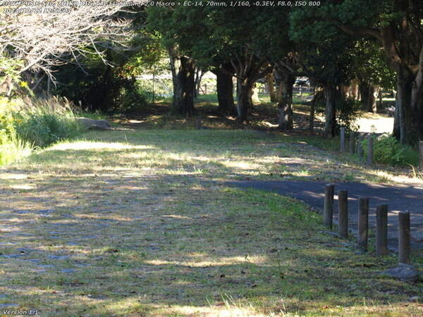 南立石二区(別府市) 南立石公園の出入り口はすぐそこ