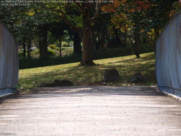 境川(別府市) イナコスの橋で南立石公園へ