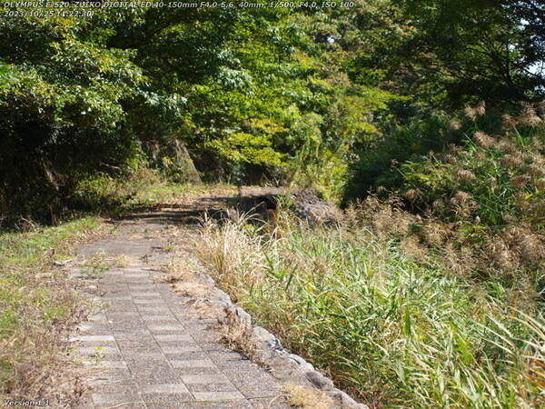 境川(別府市) 除草されて歩きやすくなった河川敷広場の左岸を下る