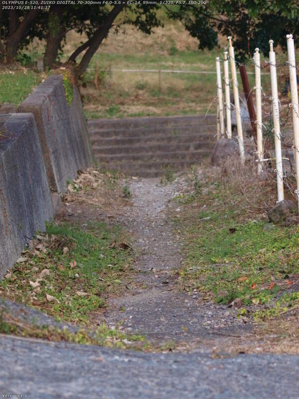 南立石生目町(別府市) 境川への狭い道