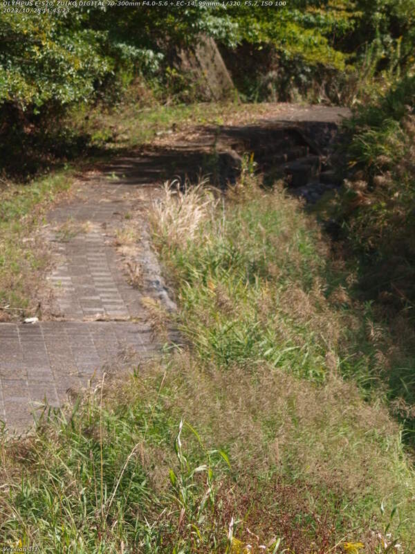 境川(別府市) 除草されて歩きやすくなった河川敷広場の左岸を下る