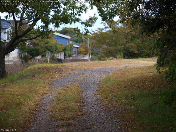南立石二区(別府市) 境川の土手上の未舗装路を下る