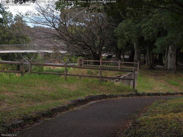 南立石公園(別府市) イナコスの橋が見えてきた