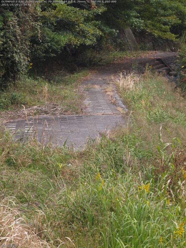 境川(別府市) 除草されて歩きやすくなった左岸の河川敷広場を下る