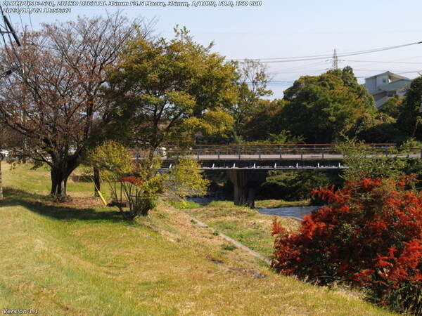 扇山町(別府市) 境川の土手上の草地を下る