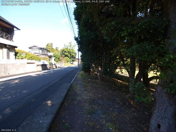 南立石公園(別府市) 道路沿いの林の踏み固められた小道を進む
