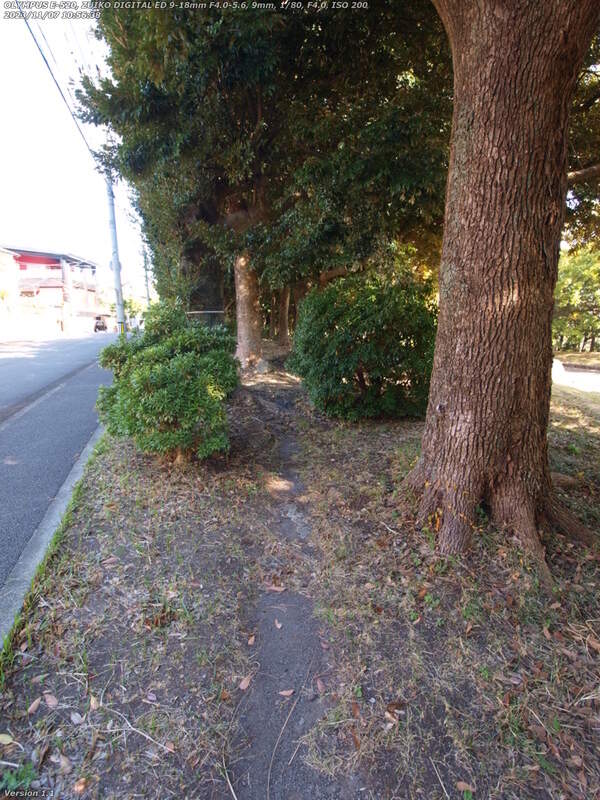 南立石公園(別府市) 道路沿いの林の踏み固められた小道を進む