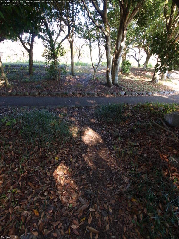 南立石公園(別府市) 公園の次の入口の舗装路