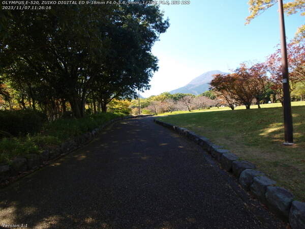 南立石公園(別府市) 前方に見える梅の木