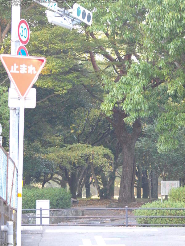 南荘園町(別府市) 信号機で鉄輪線を渡る