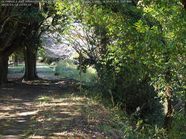 南立石公園(別府市) 境川の土手上の遊歩道へ