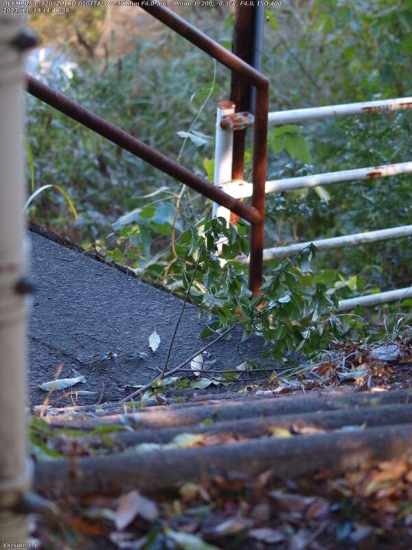 南立石公園(別府市) 境川の河川敷広場へ下る