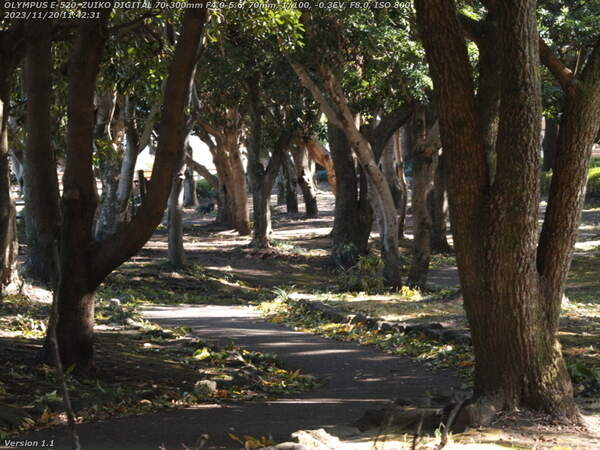 南立石公園(別府市) 境川沿いに下流へ進む
