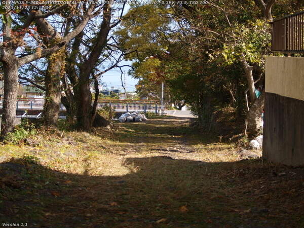 南立石生目町(別府市) 境川の土手上の未舗装路を下る