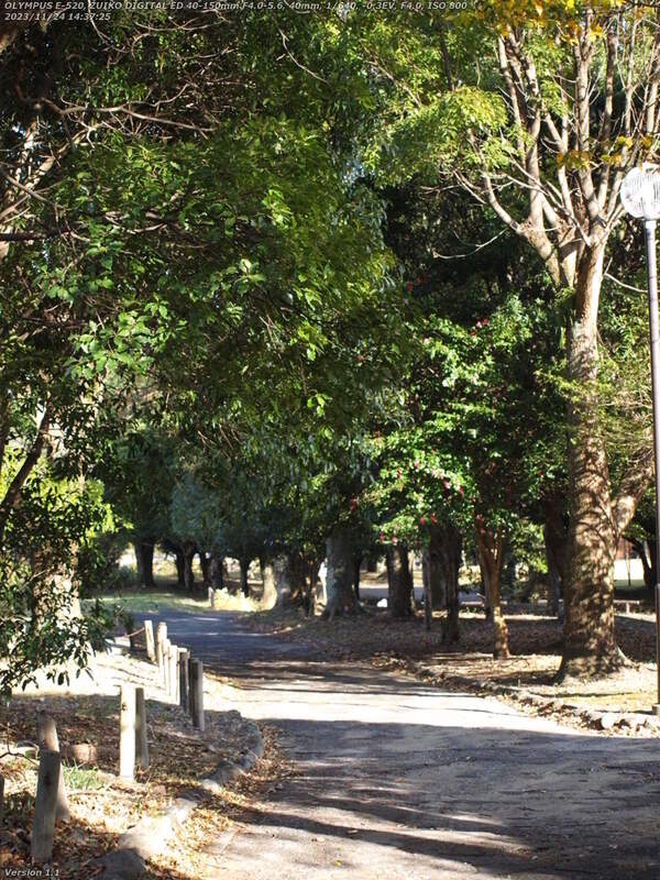 南立石二区(別府市) 境川の土手上の遊歩道で南立石公園へ