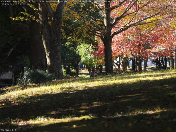 南立石公園(別府市) 南立石小学校沿いに進む