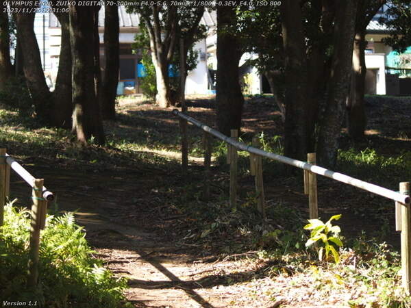 南立石公園(別府市) 西側の道路沿いの林へ向かう