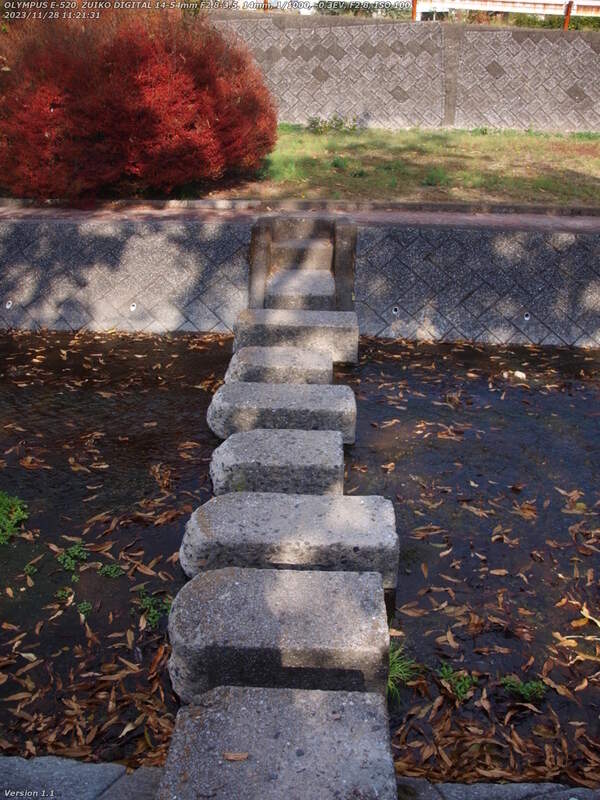 境川(別府市) 飛び石で対岸へ渡る