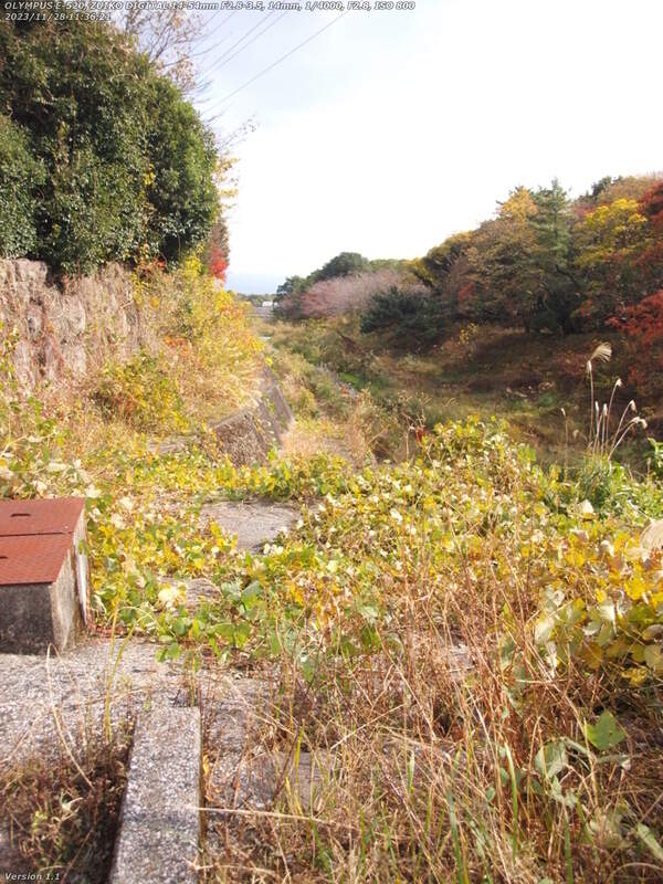 境川(別府市) 下流は草ボーボーで通れない