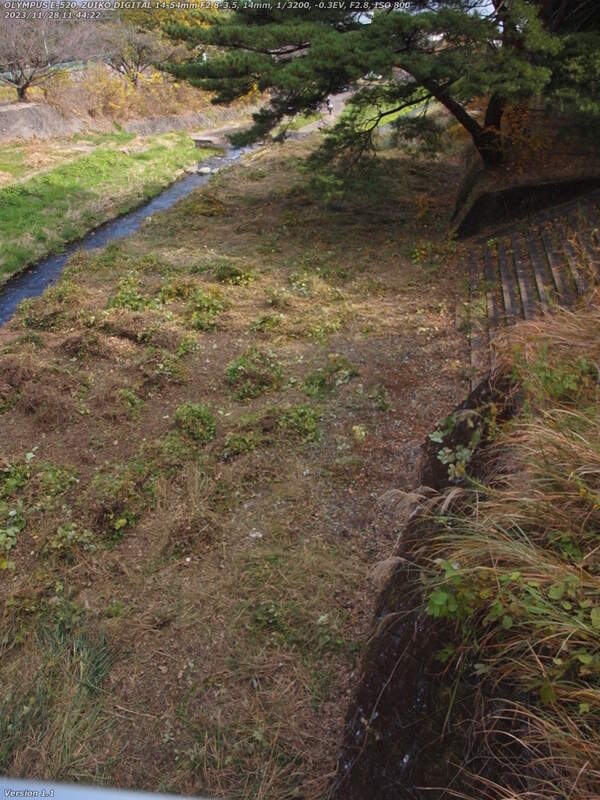 境川(別府市) イナコスの橋から下流を見ると除草されていた