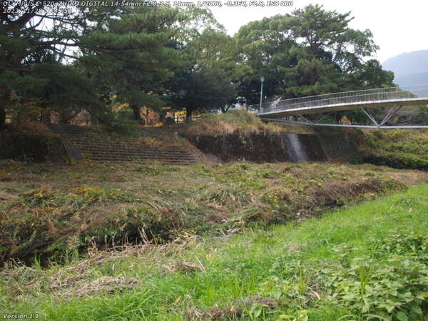 境川(別府市) 除草されている