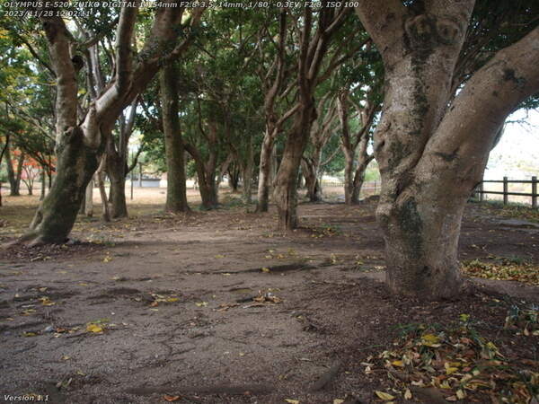 南立石公園(別府市) 南立石公園を境川沿いに上流へ