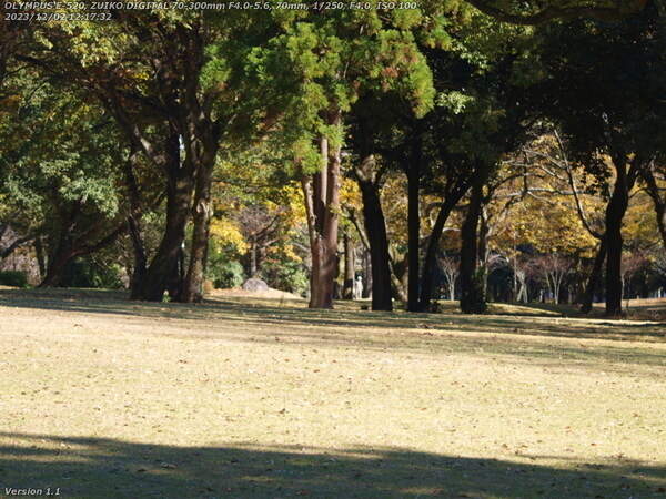南立石公園(別府市) 南立石公園を歩く