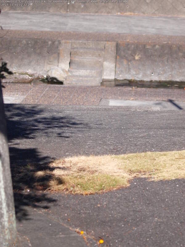 南荘園町(別府市) 境川の河川敷広場へ