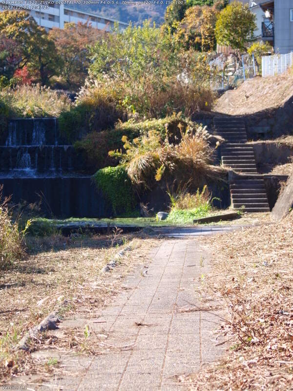 境川(別府市) イナコスの橋の2つ上流の砂防ダムを越える