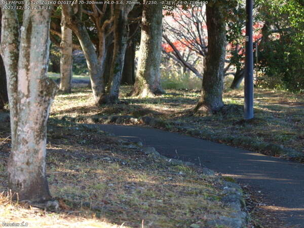 南立石公園(別府市) 南立石公園を境川沿いに上流へ