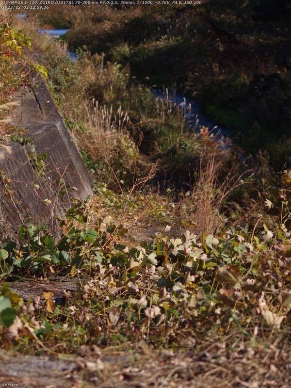 境川(別府市) 左岸の河川敷広場が除草されている