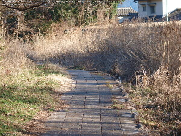 境川(別府市) 河川敷広場はまあまあ歩きやすい