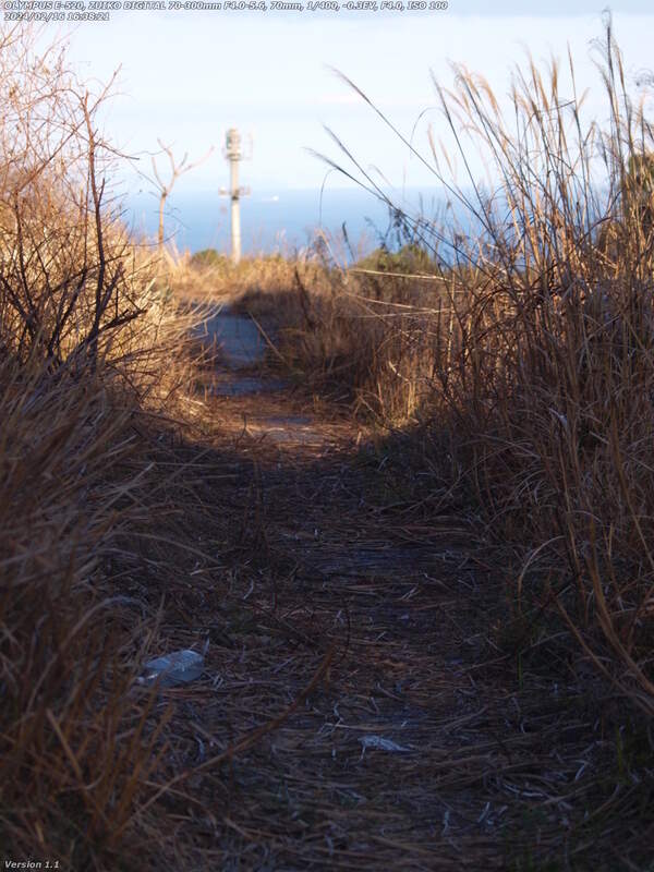 境川(別府市) 西別府団地と南立石公園の間の河川敷広場は冬季は歩ける