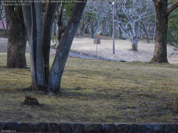 南立石公園(別府市) 冬の南立石公園