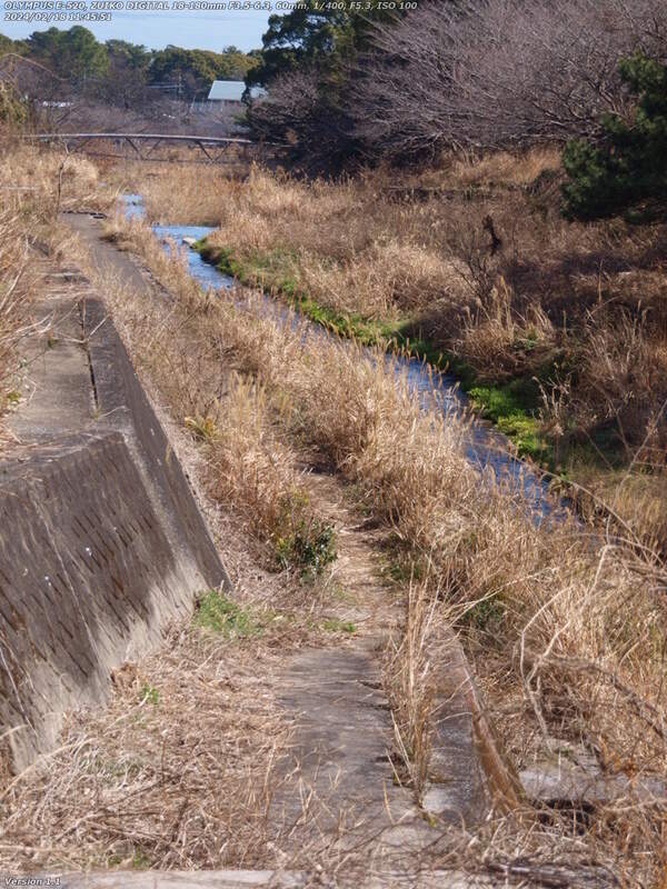 境川(別府市) 西別府団地を過ぎてイナコスの橋が見えたら草ボーボー区間が現れるが冬季は歩ける