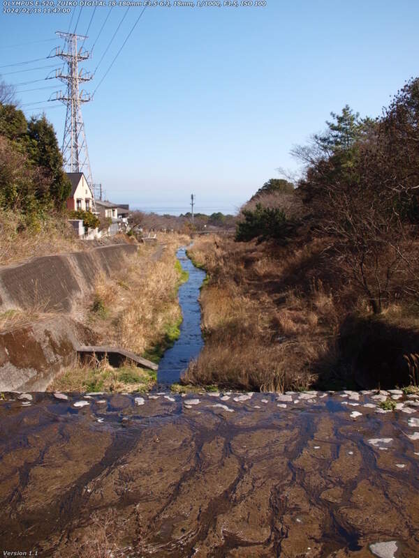 境川(別府市) 飛び石から眺める下流の様子