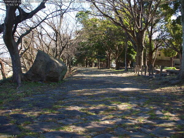 南立石二区(別府市) 土手上の遊歩道を南立石公園へ向かう